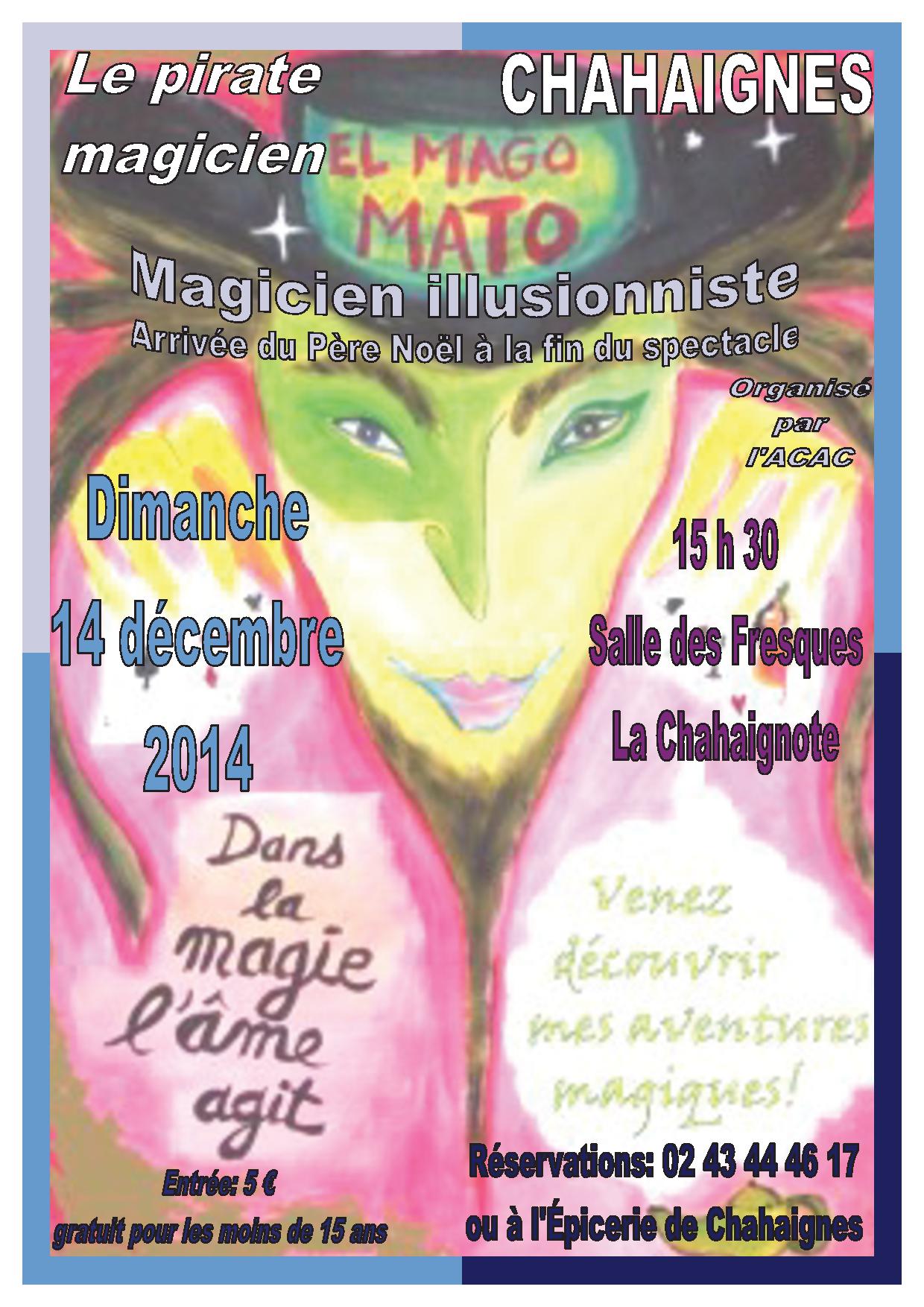 affiche_magie_2014_1_COR