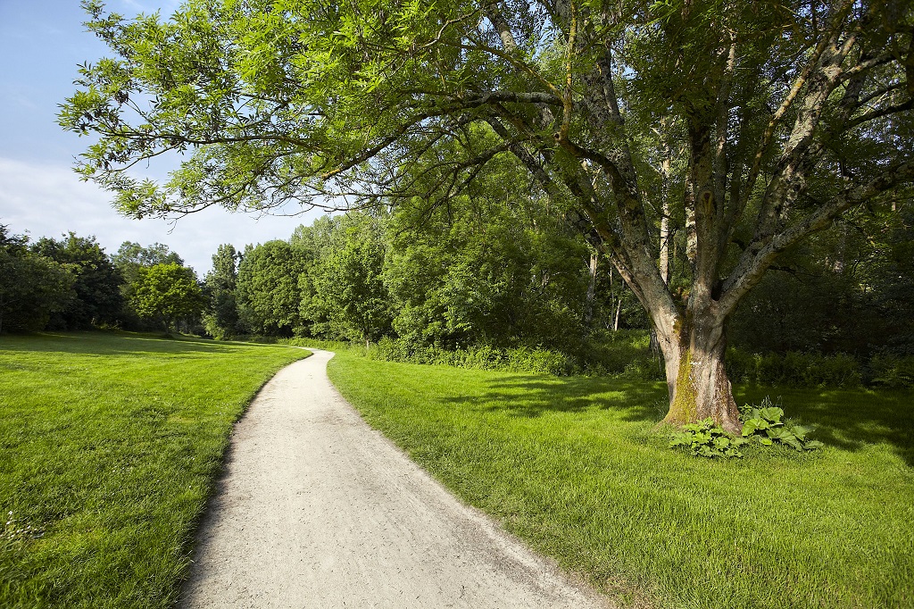 Vallée verte de l'Yon