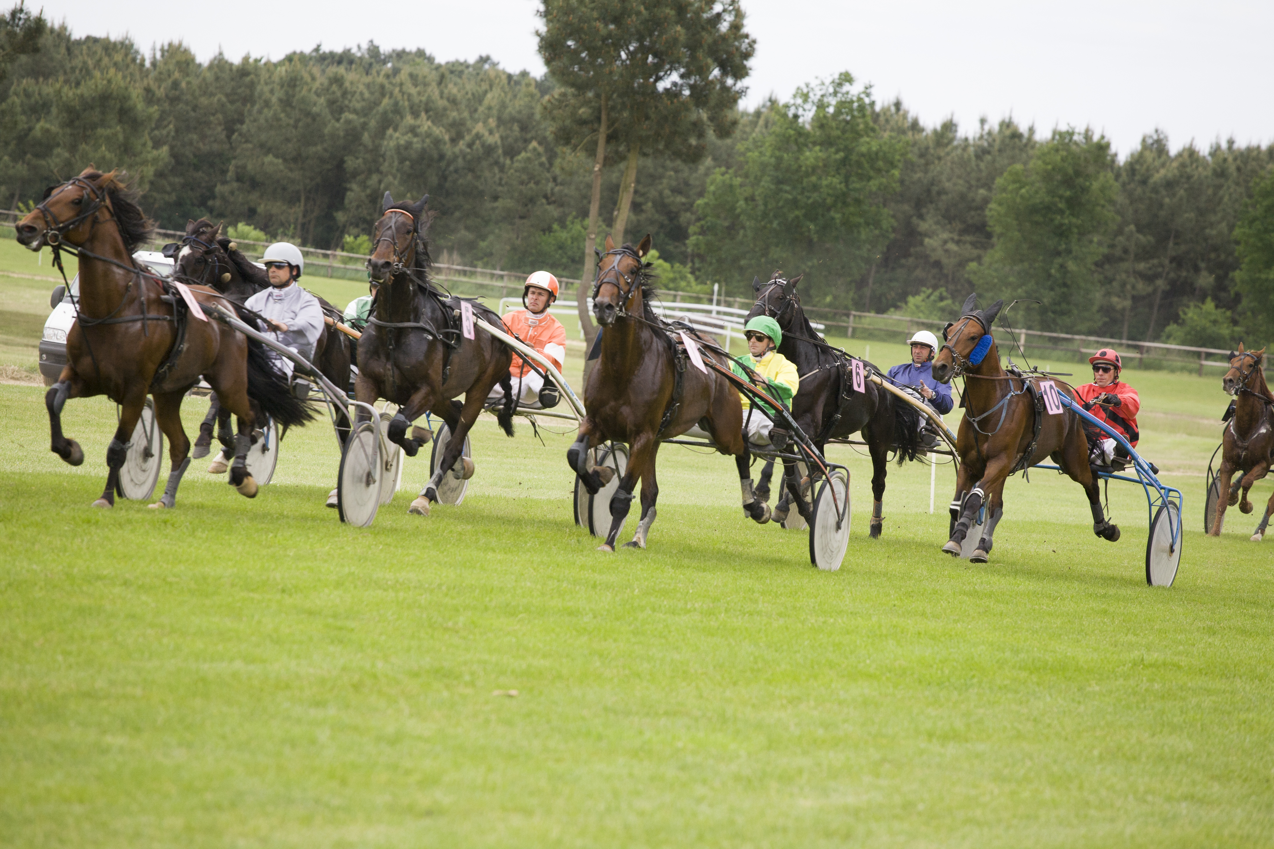 Courses hippiques – Ecommoy