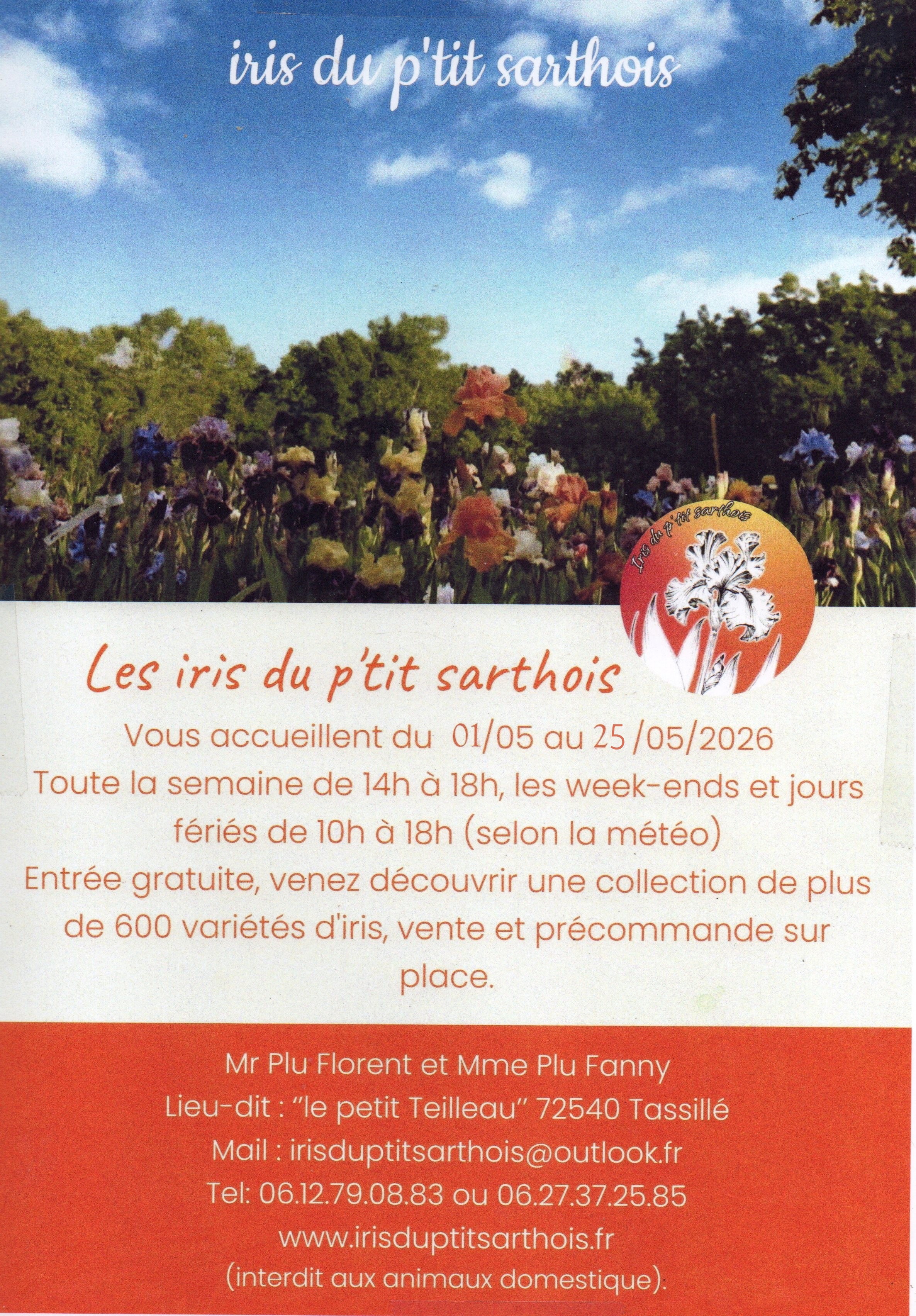 Iris du P&rsquo;tit Sarthois