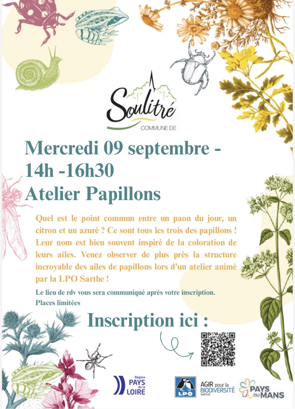 Atelier Papillons