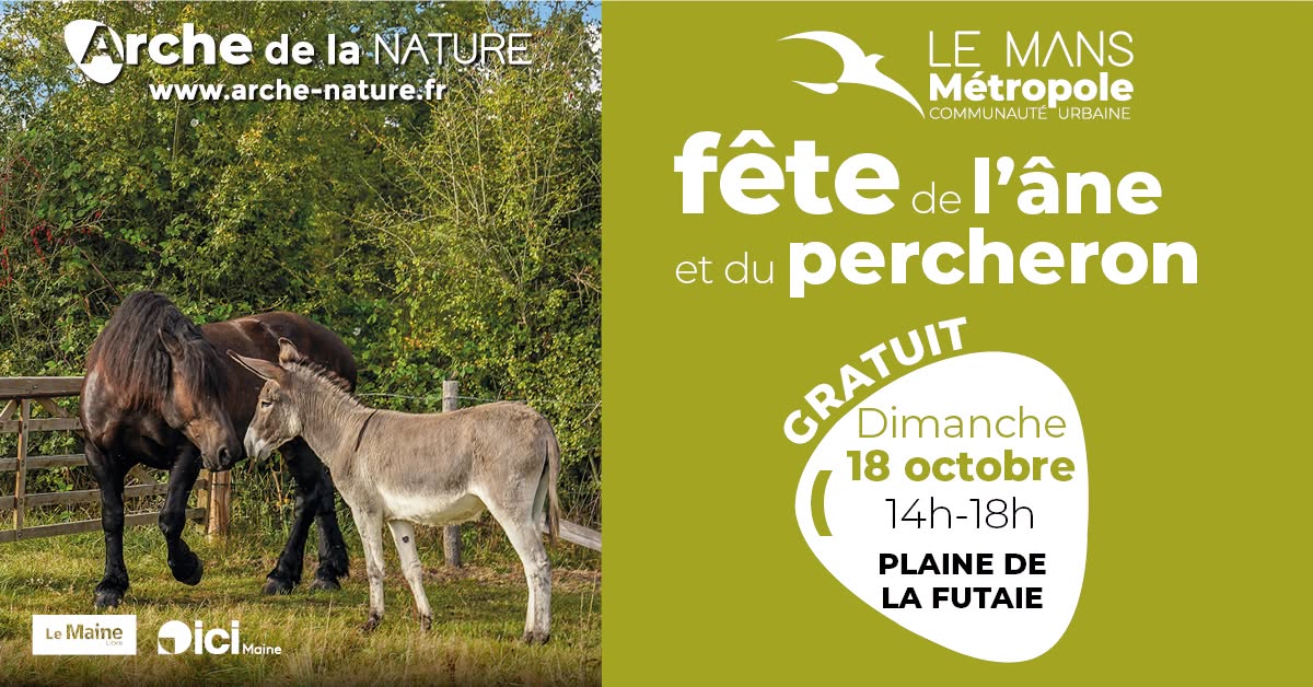 Fête de l'âne et du cheval Percheron