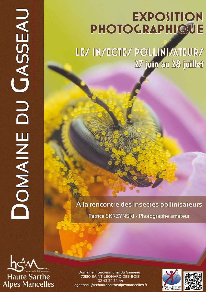 Exposition « Les insectes pollinisateurs »