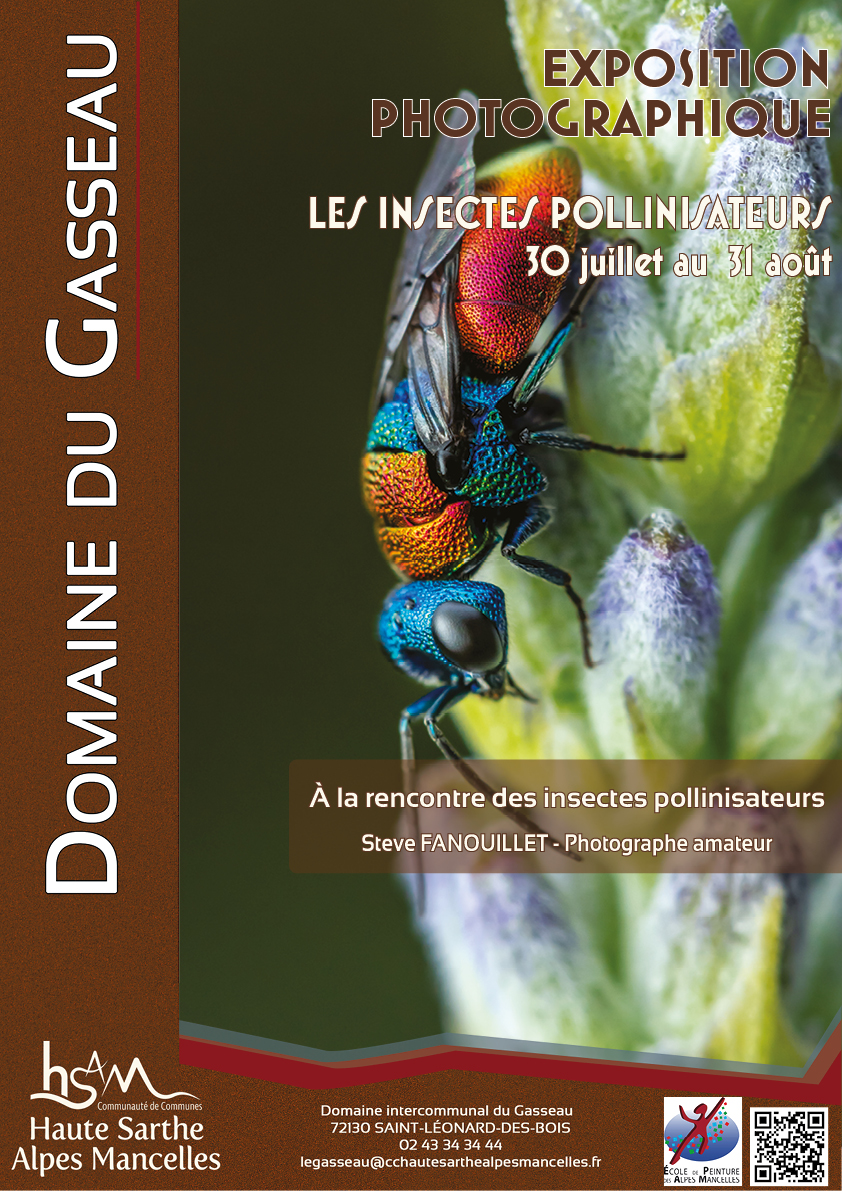 Exposition « Les insectes pollinisateurs »
