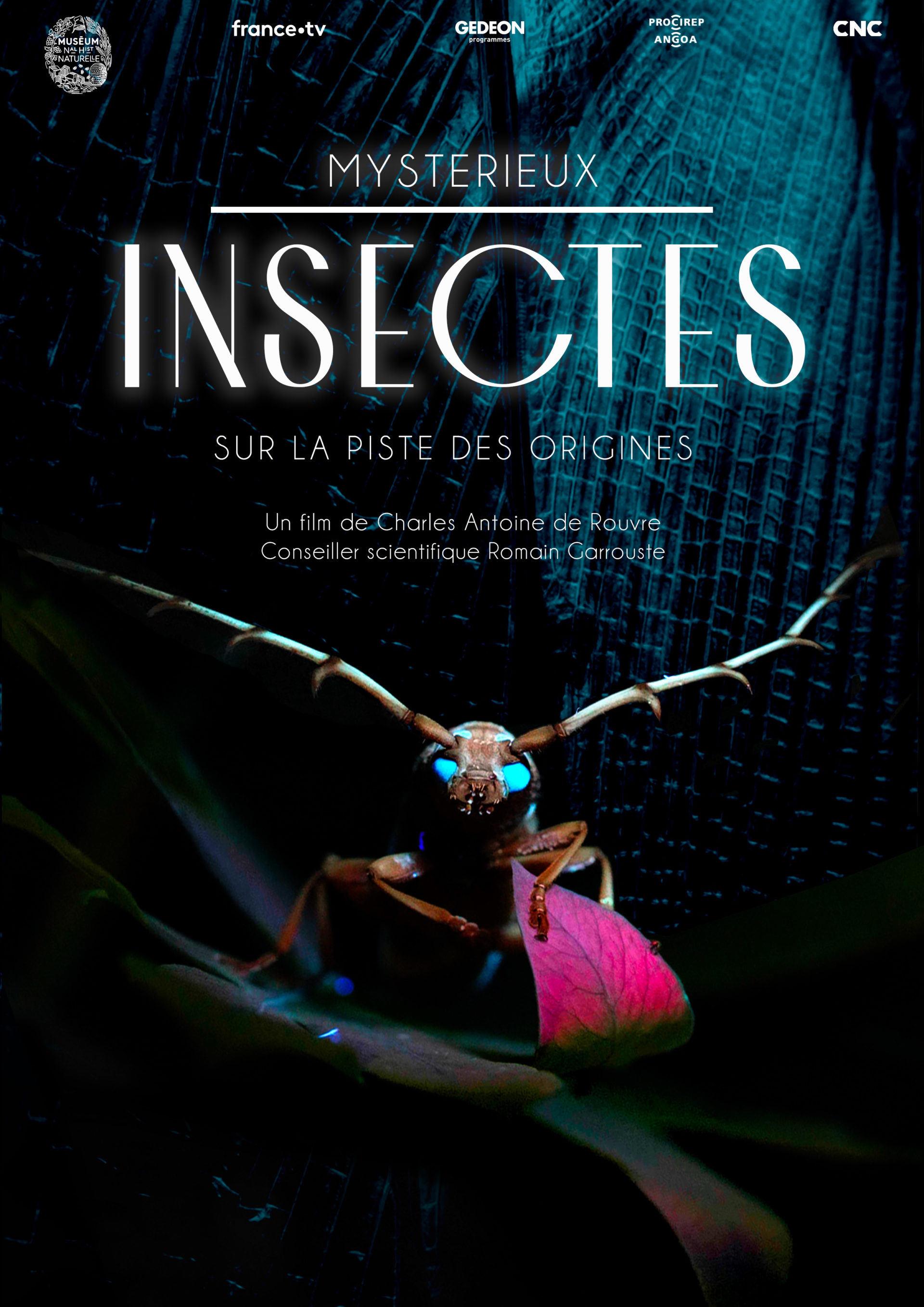 MYSTERIEUX INSECTES SUR LA PISTE DES ORIGINES
