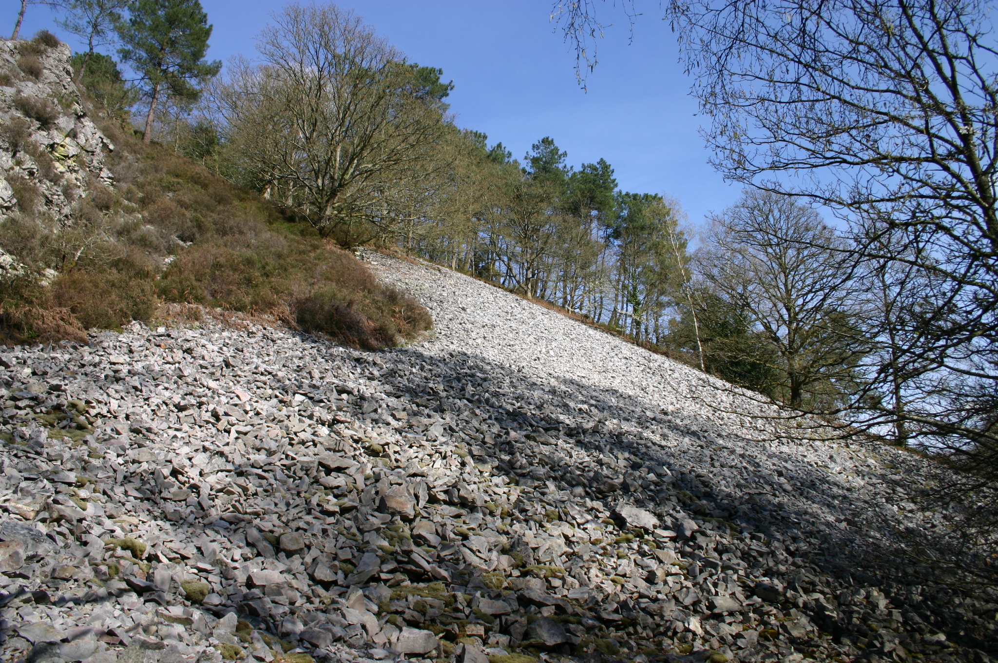Découverte de la bio-géodiversité des Alpes Mancelles