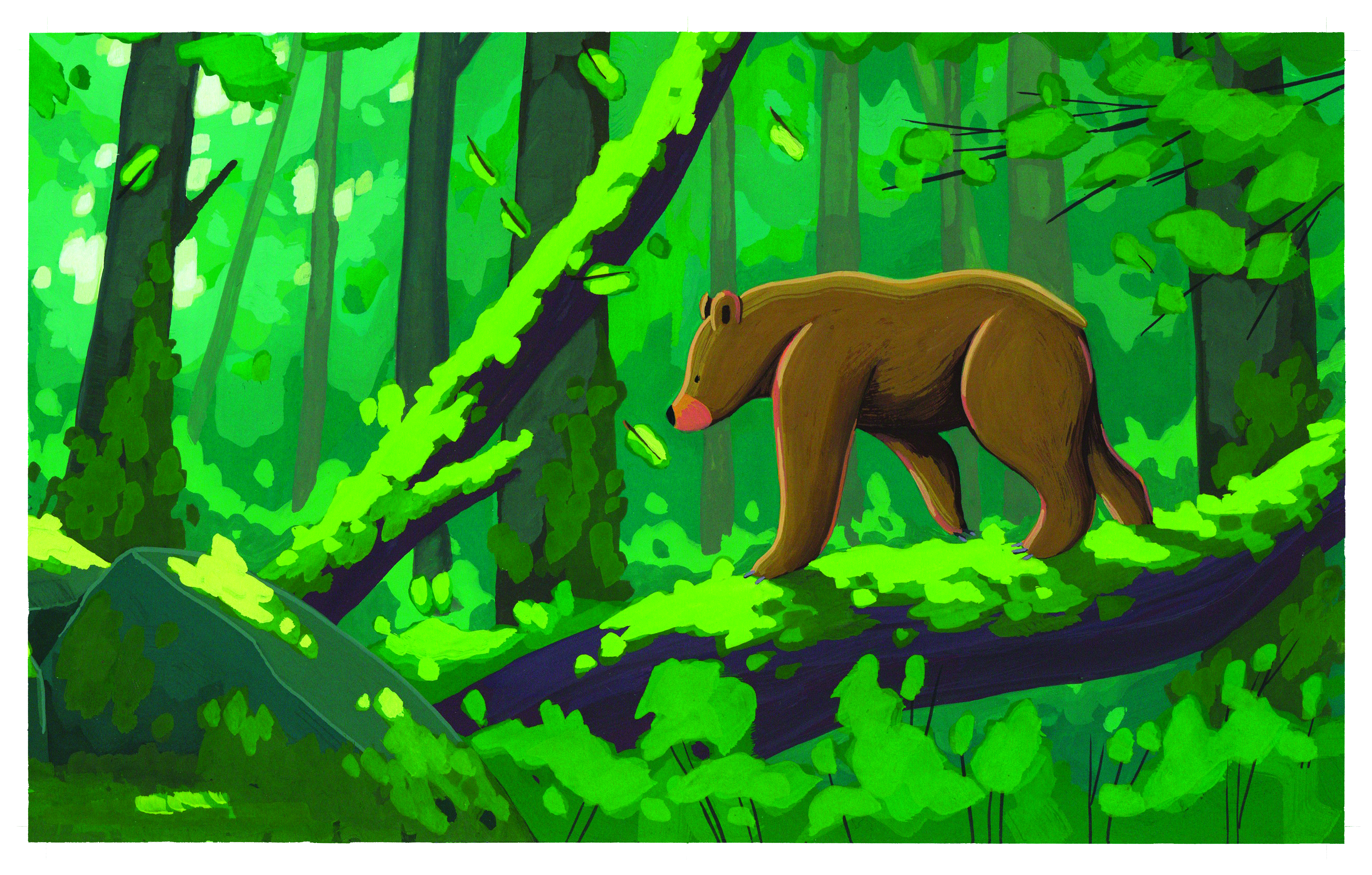 IlLUSTRATION A LA GOUACHE avec Morgane de Cadier