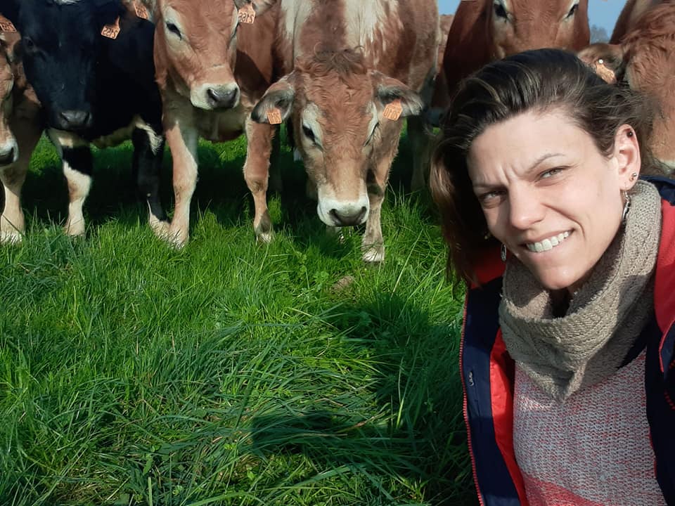 Mercredi du terroir : Visite d&rsquo;un élevage de poulets de Loué et de vaches parthenaises
