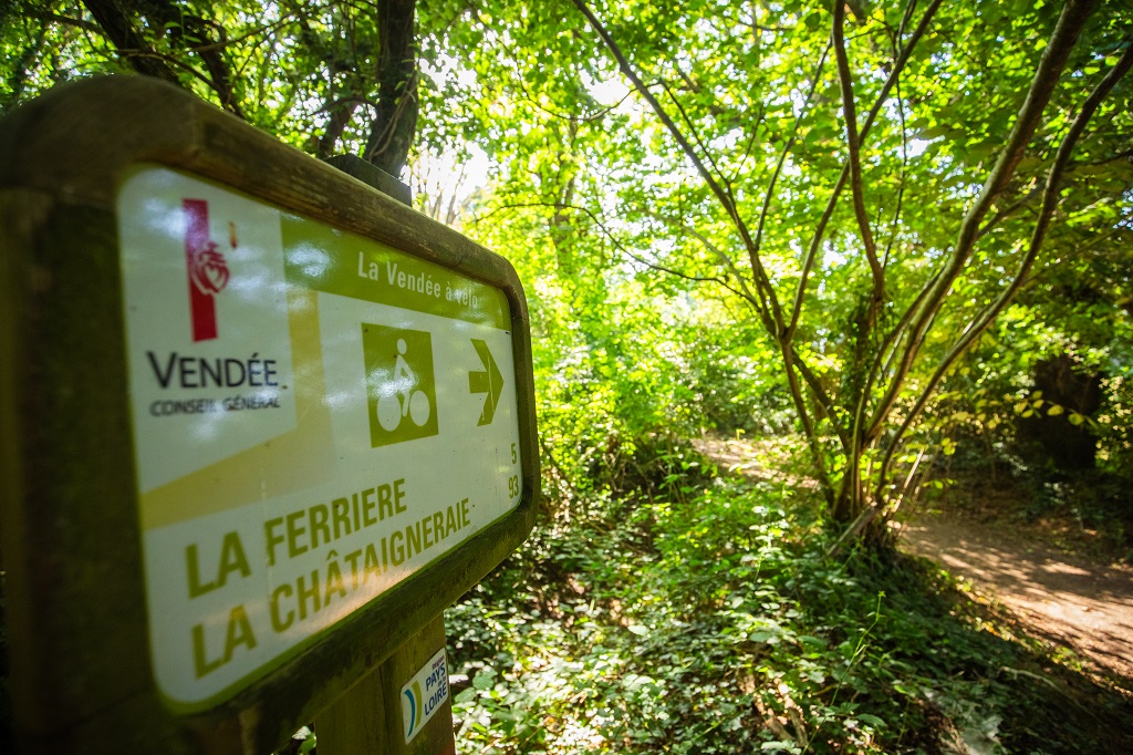 Bois es Girondins©D.Herbreteau-04652 light