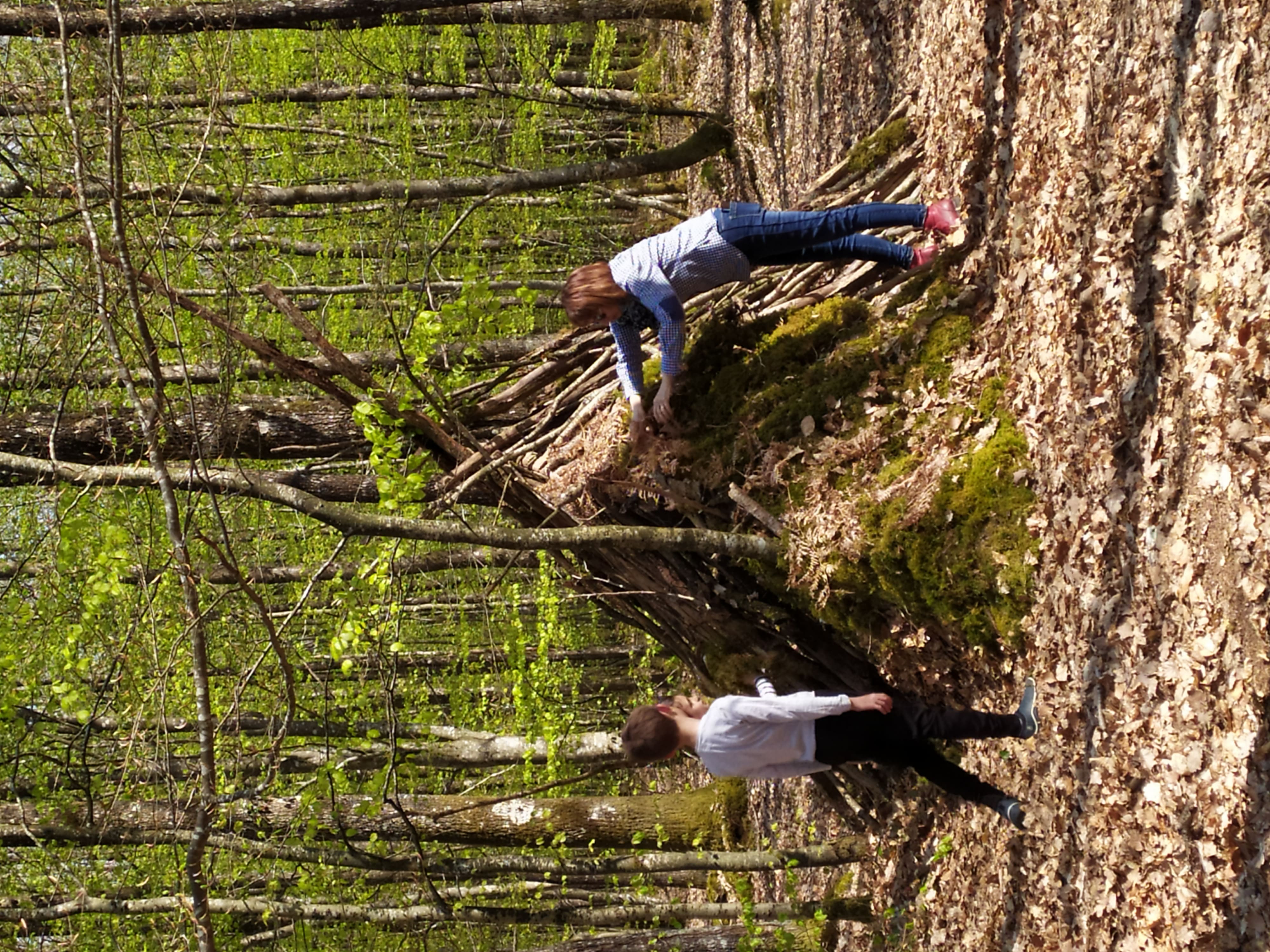 Balade famille « Mission : construire une cabane ! »