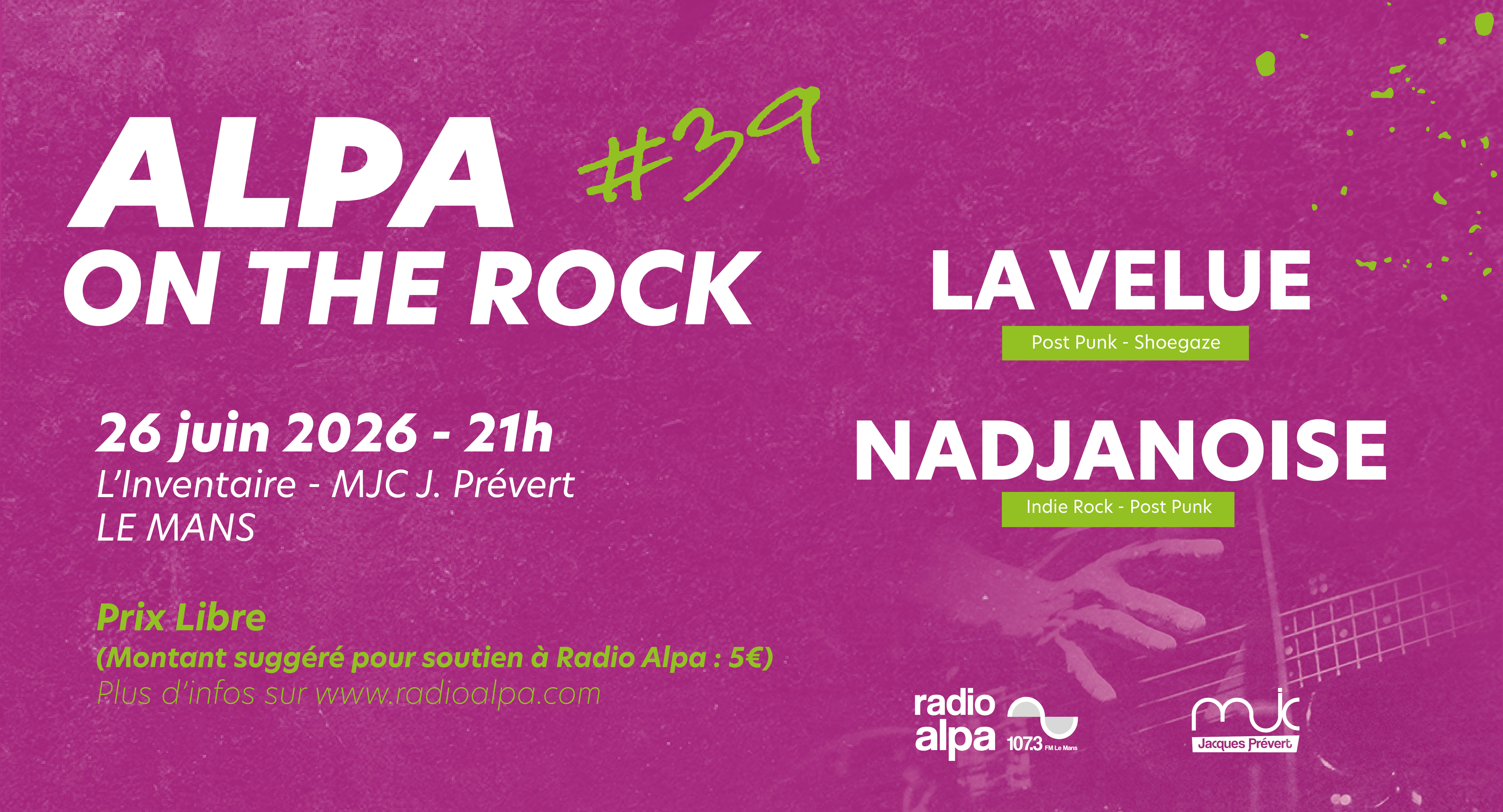 Alpa on the rock #39
