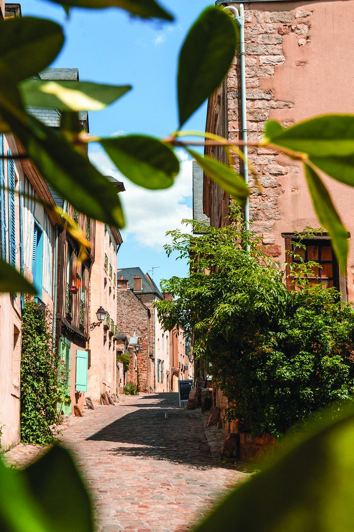 Visite flash : la Cité Plantagenêt