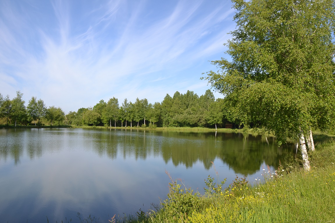 Etang de Champfrémont