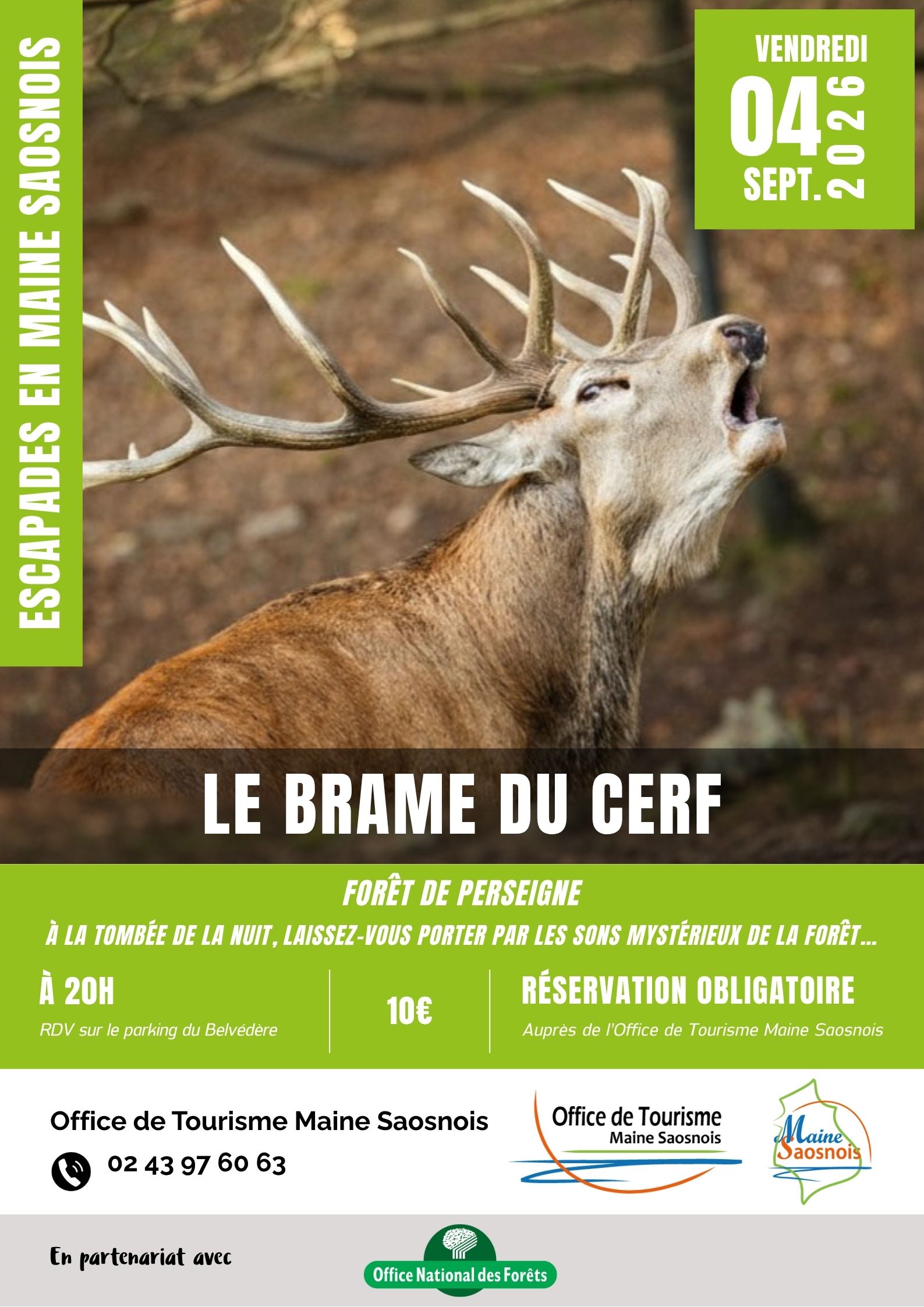 Escapades en Maine Saosnois – Le brame du cerf