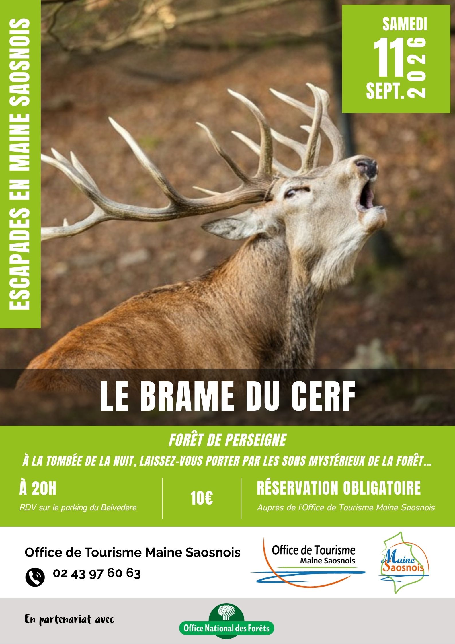 Escapades en Maine Saosnois – Le brame du cerf