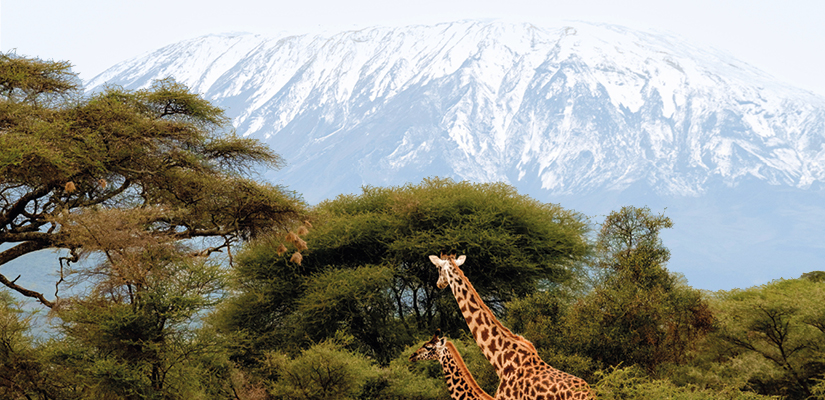 Objectif Kilimandjaro