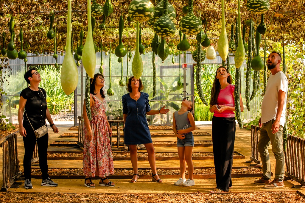 Experience sensorielle 5 © Le Potager Extraordinaire light