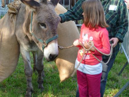 Calendrier Randonnée Pédestre Sarthe 2023 Occasions And Events | Sarthe Tourism - Week-End, Holidays, What To See,  Where To Stay And To Eat Out