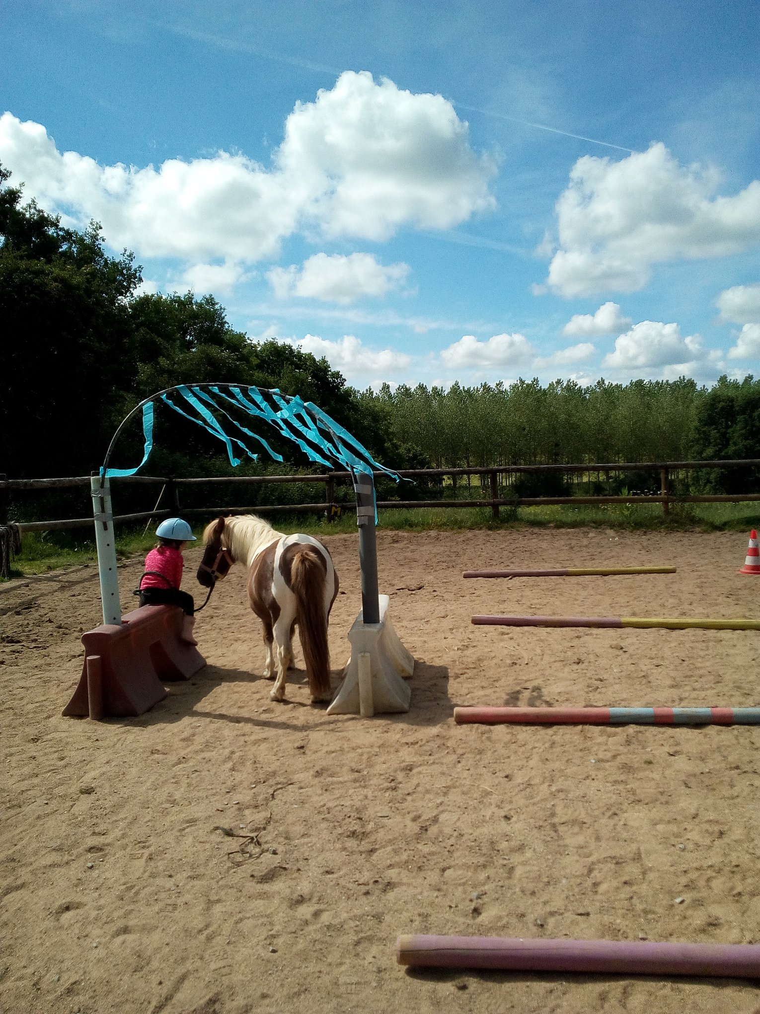 Haras de la chapellerie à Thorigne-en-Charnie