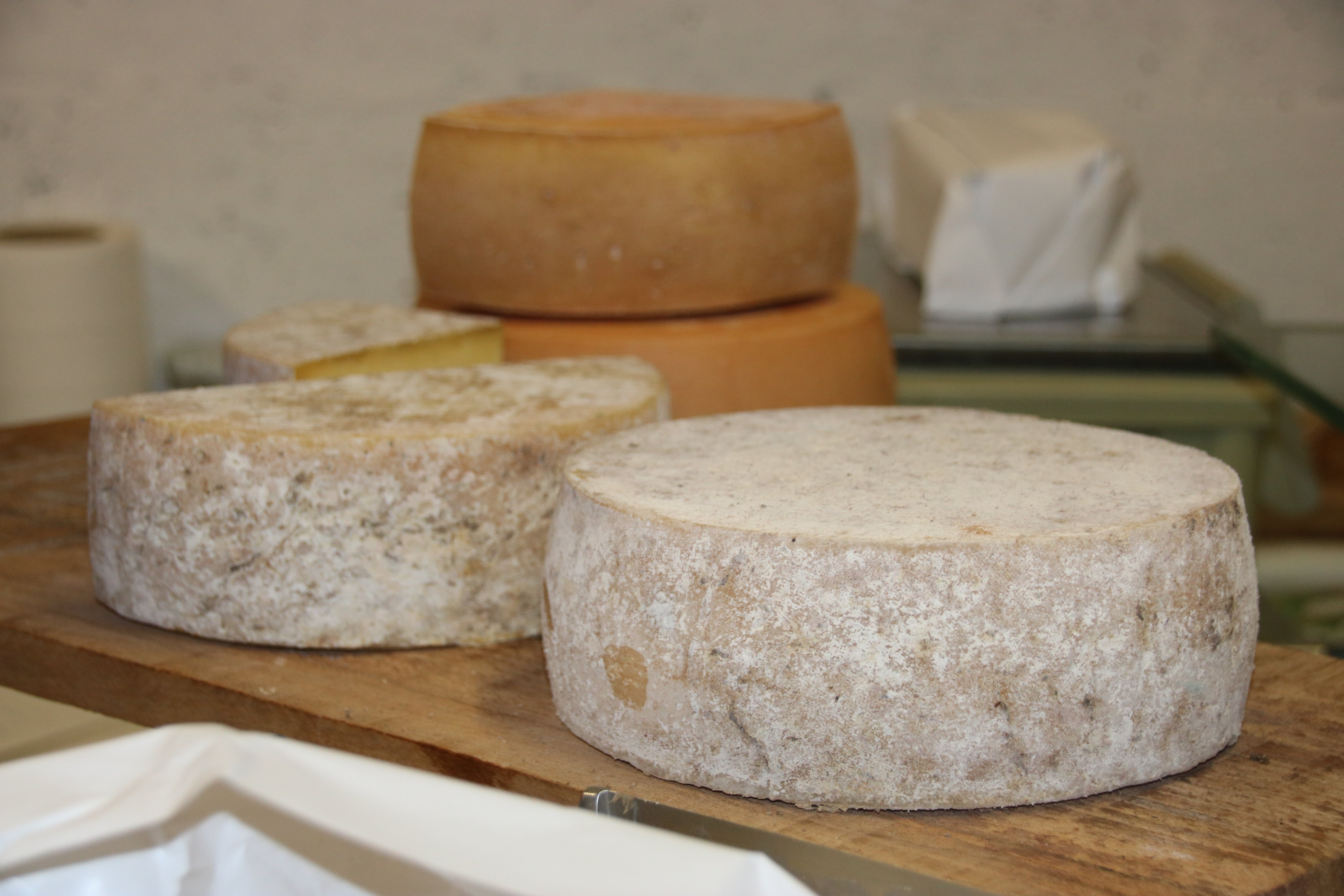 Ferme fromagère du Pays de Pail