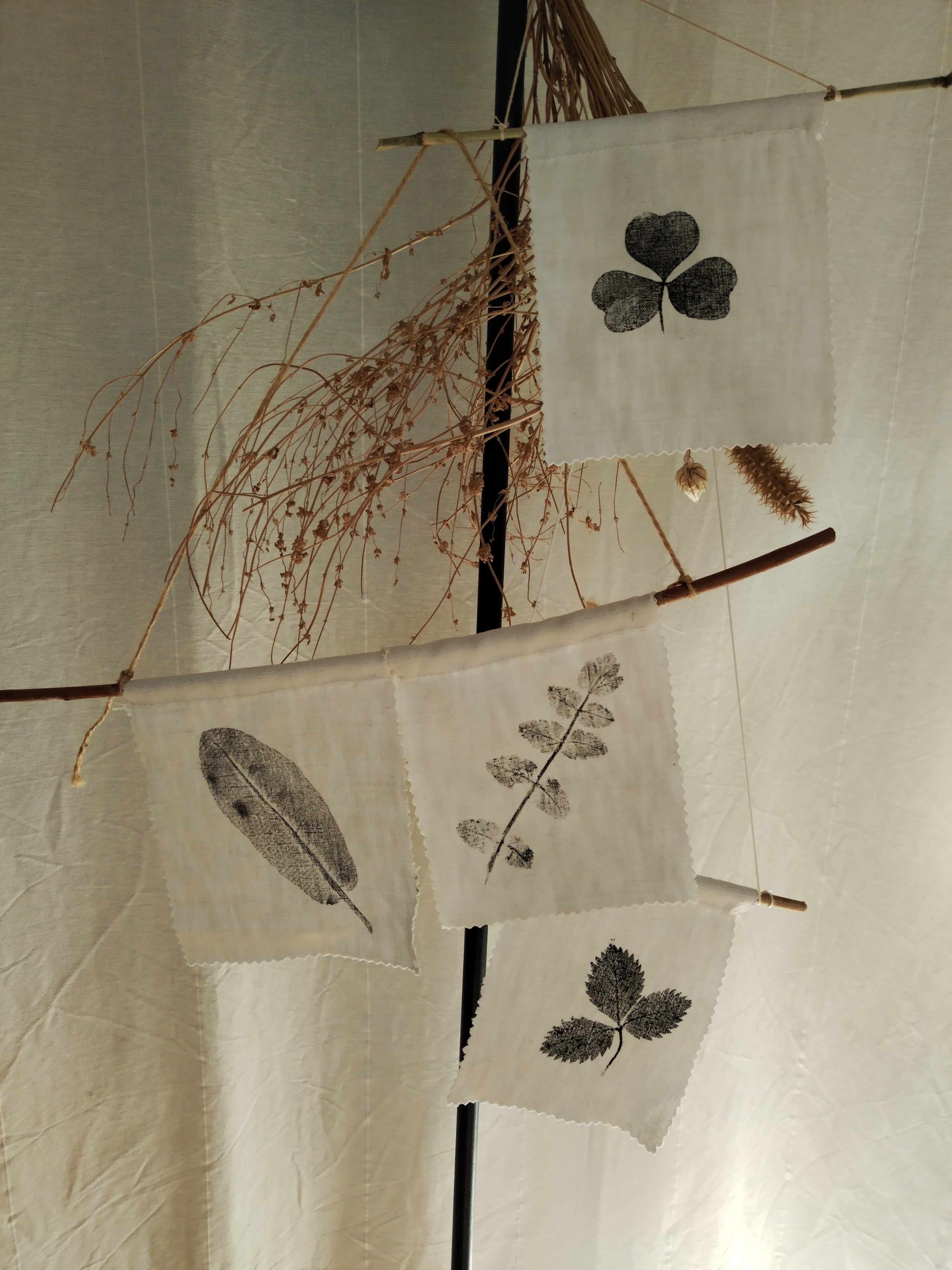 Atelier botanique et artistique » Empreintes végétales »