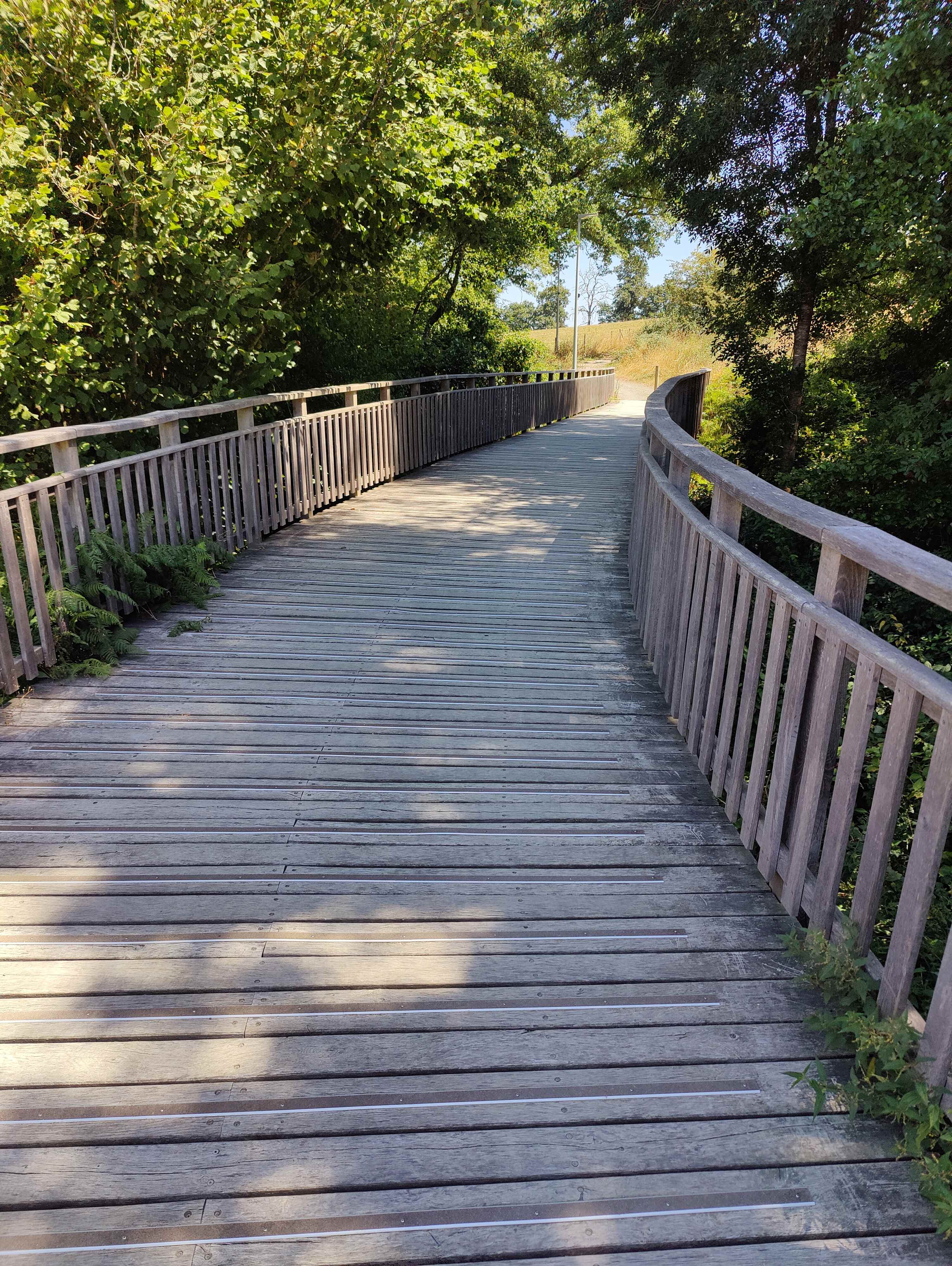 IMG20250808134128 réduite