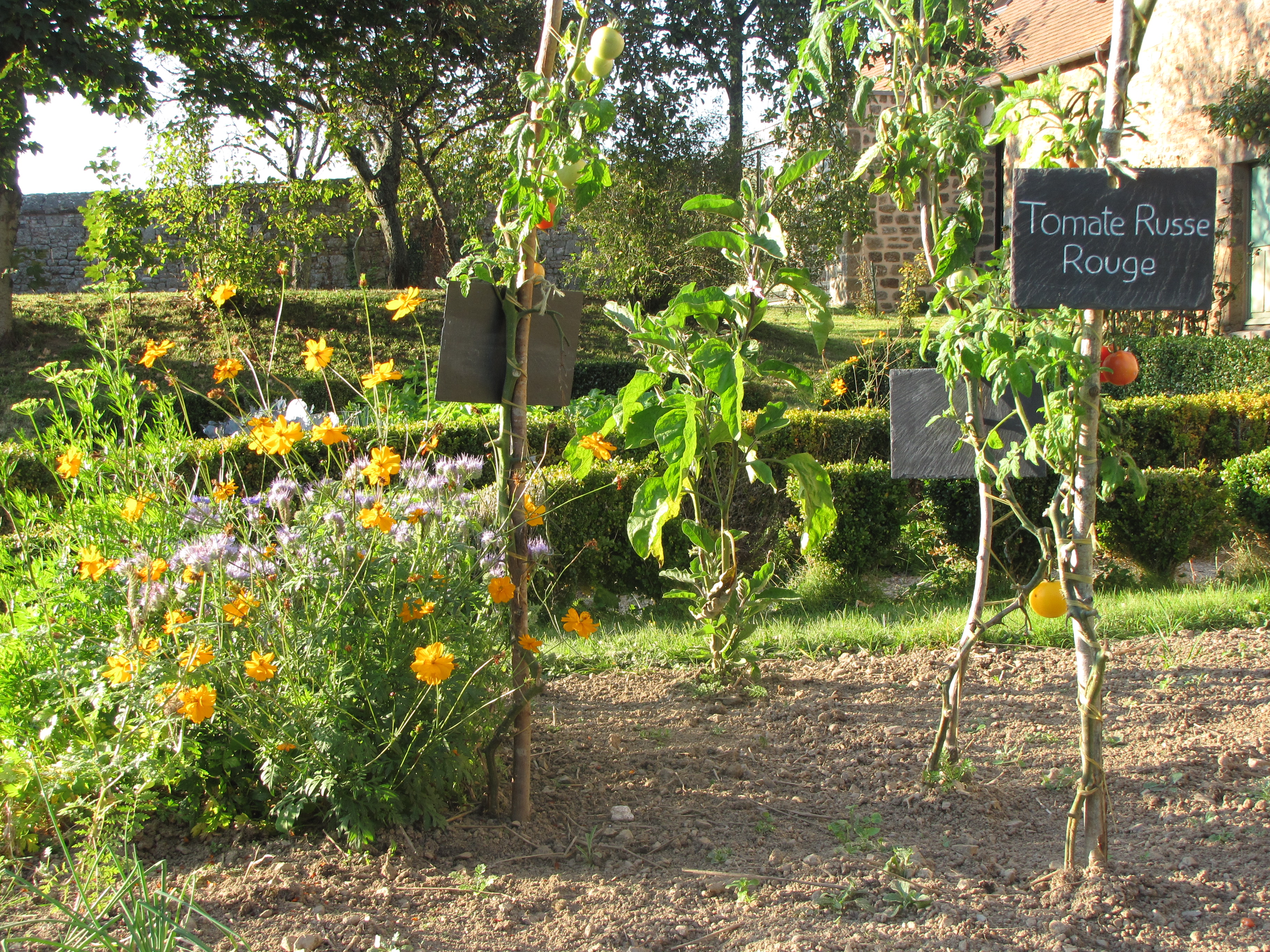 La biodiversité au cœur du potager