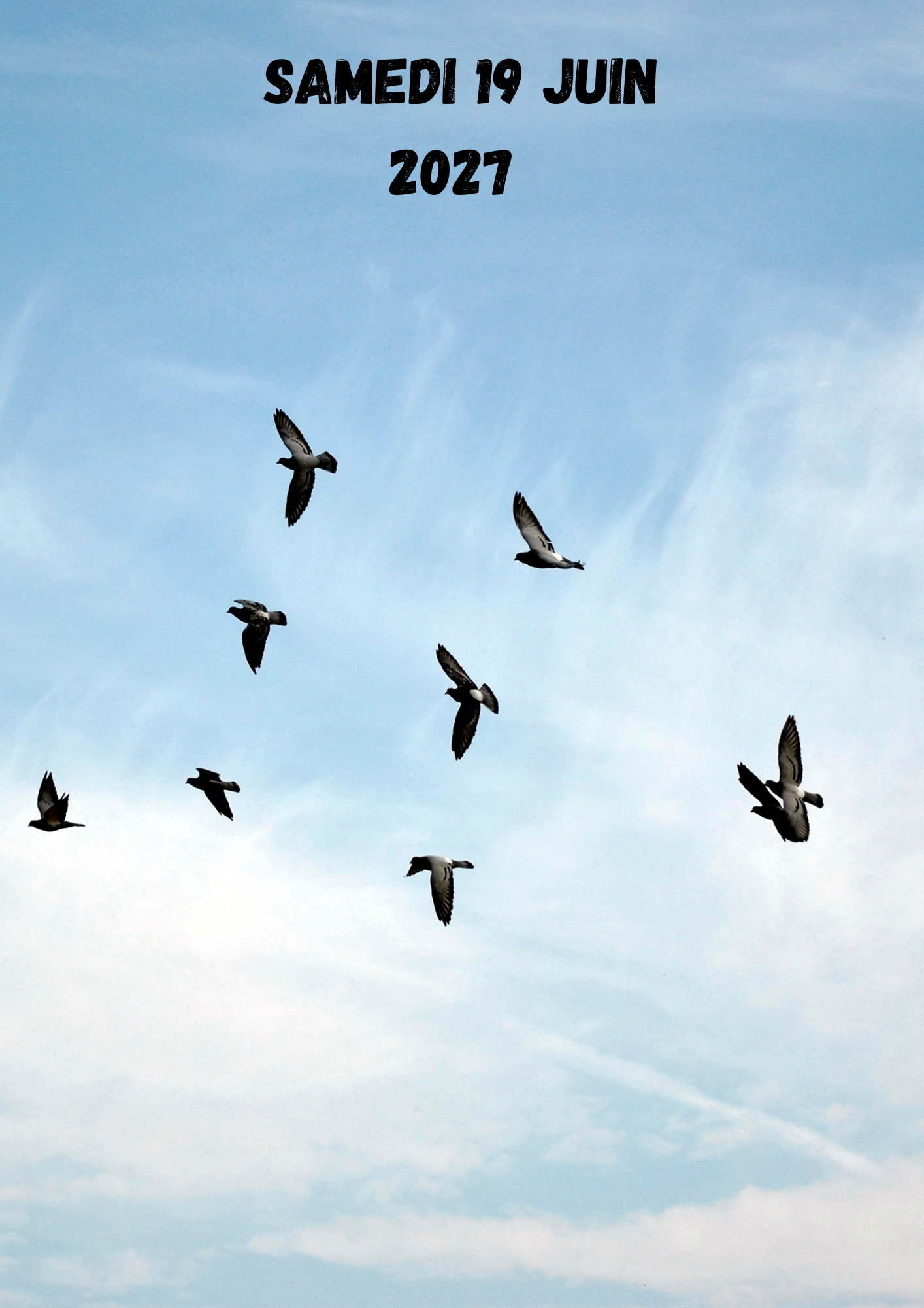 conférence »la vocalisation des oiseaux »