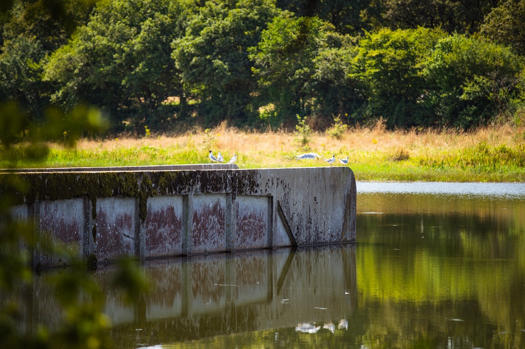 Le pont des Boches©D.Herbreteau-03530 light