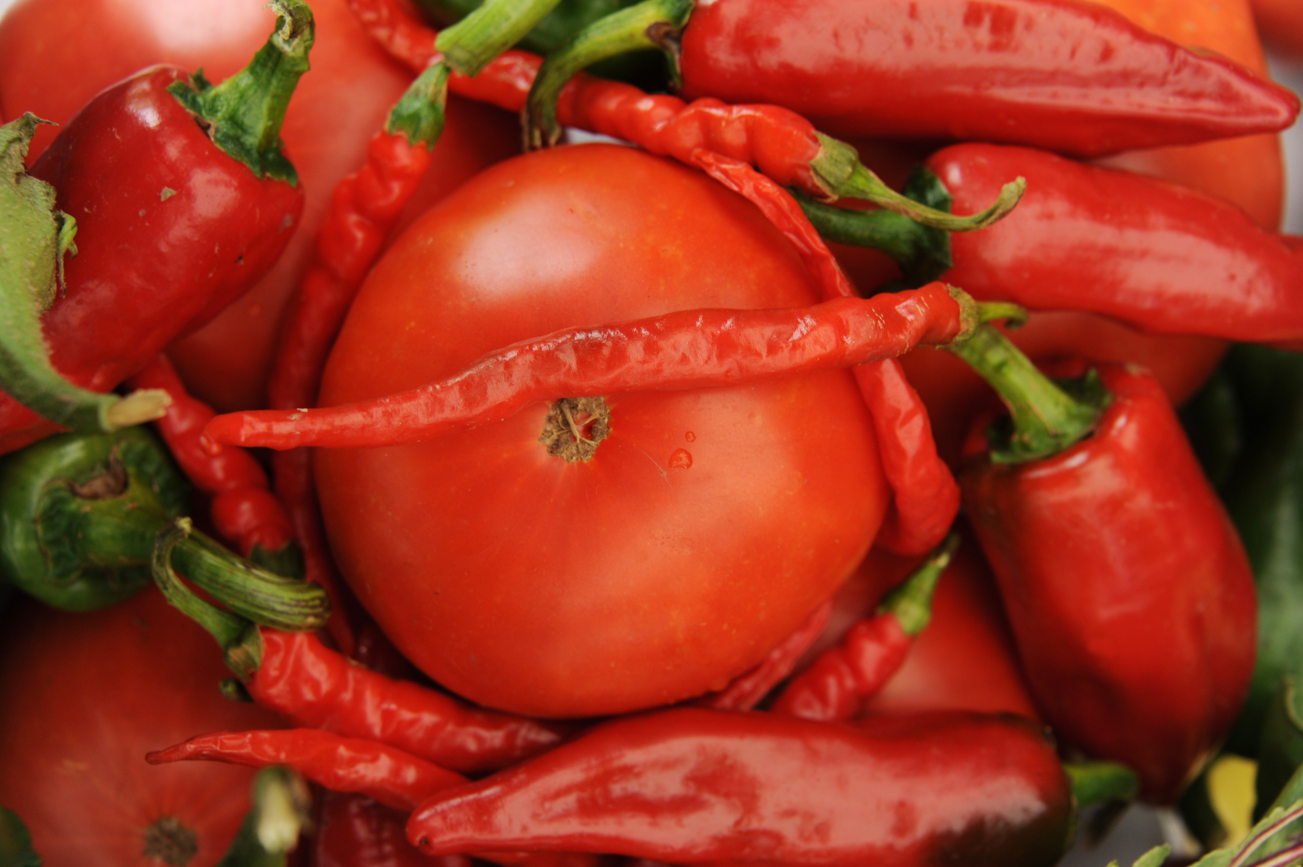 Marché gourmand & bien-être