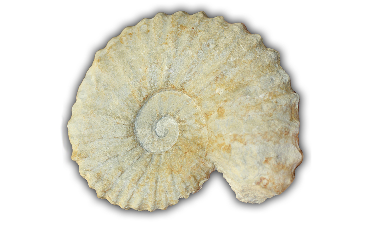 Conférence « Sur les chemins de la Sarthe, il y a 200 millions d&rsquo;années » par Dominique Langevin