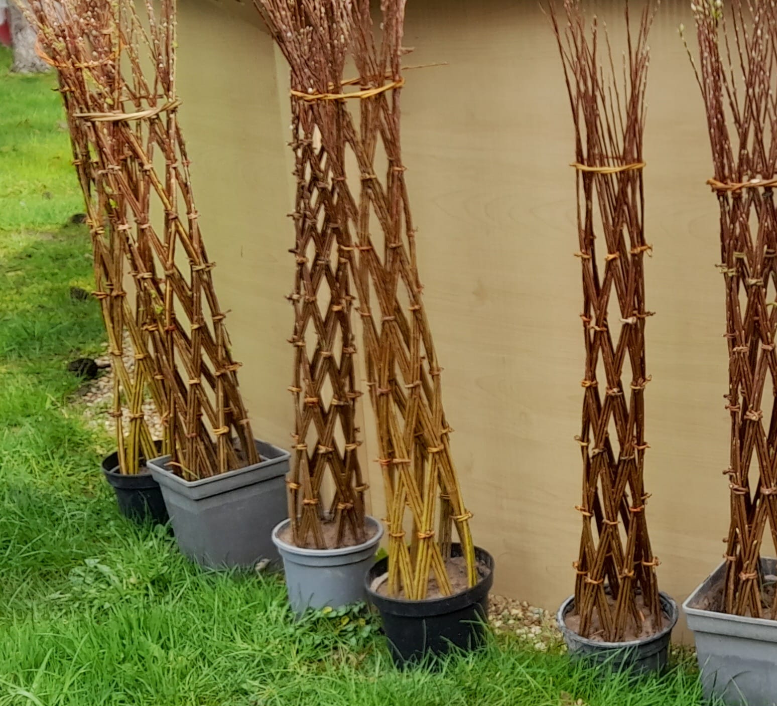 Atelier vannerie « Tresser un arbre en osier » par Laurence Haton