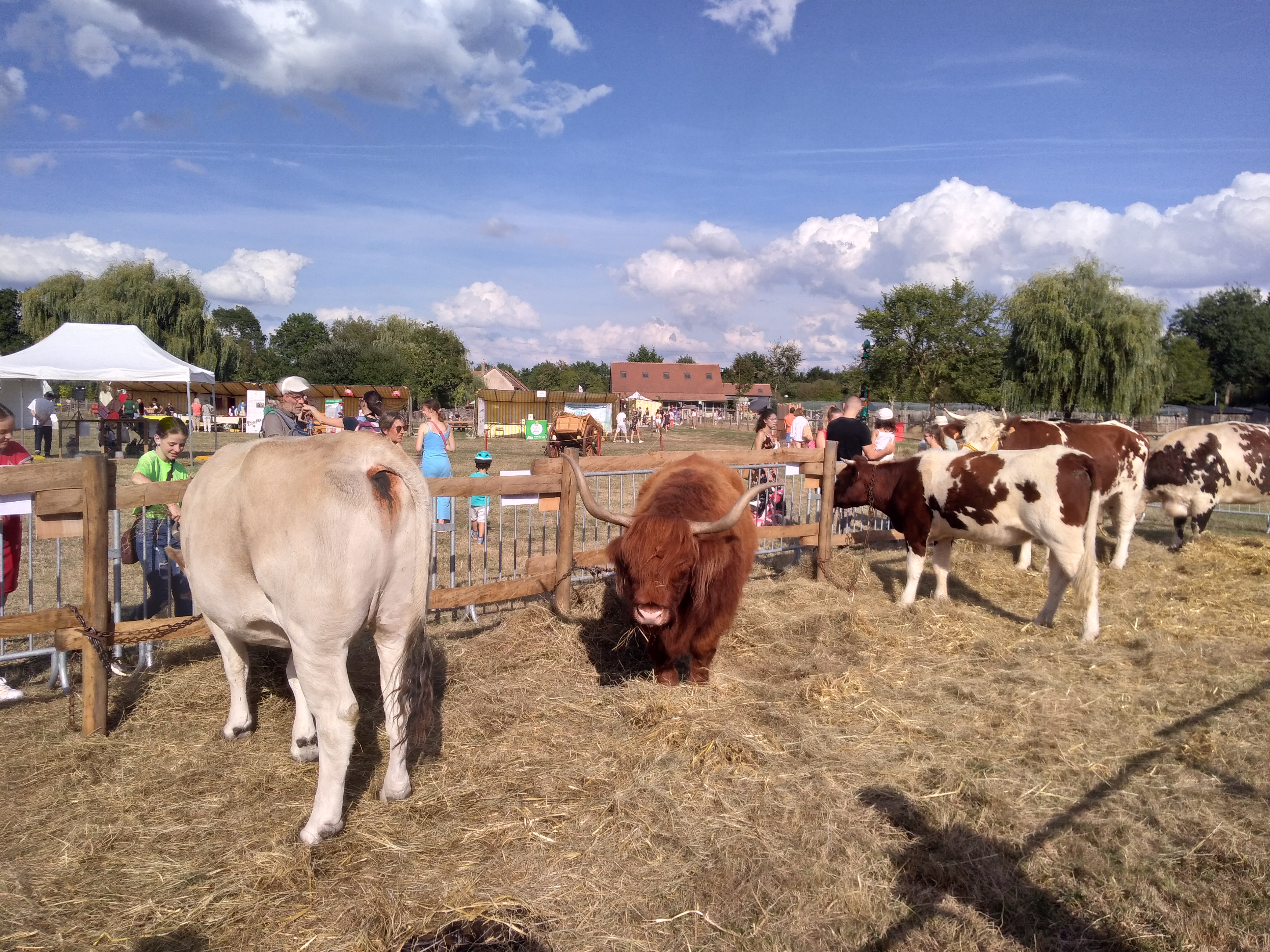 La ferme en fête
