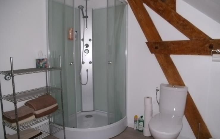 Appartement shower room