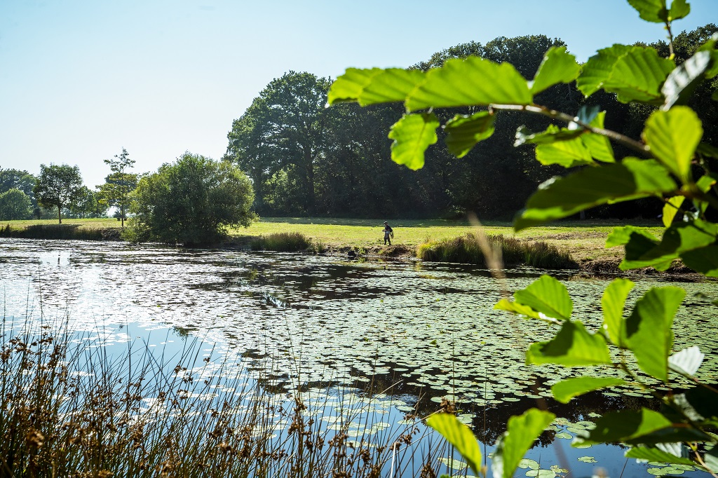 Parc de Beaupuy┬®D.Herbreteau-06978 light