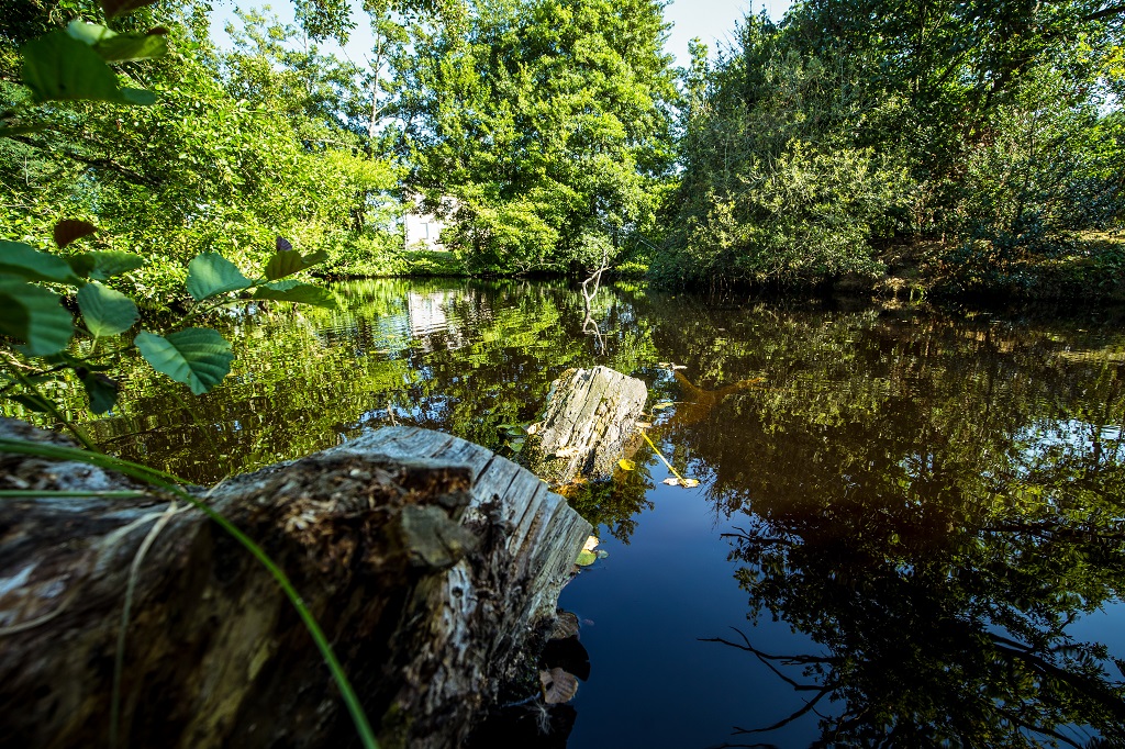 Parc de Beaupuy┬®D.Herbreteau-07015 light
