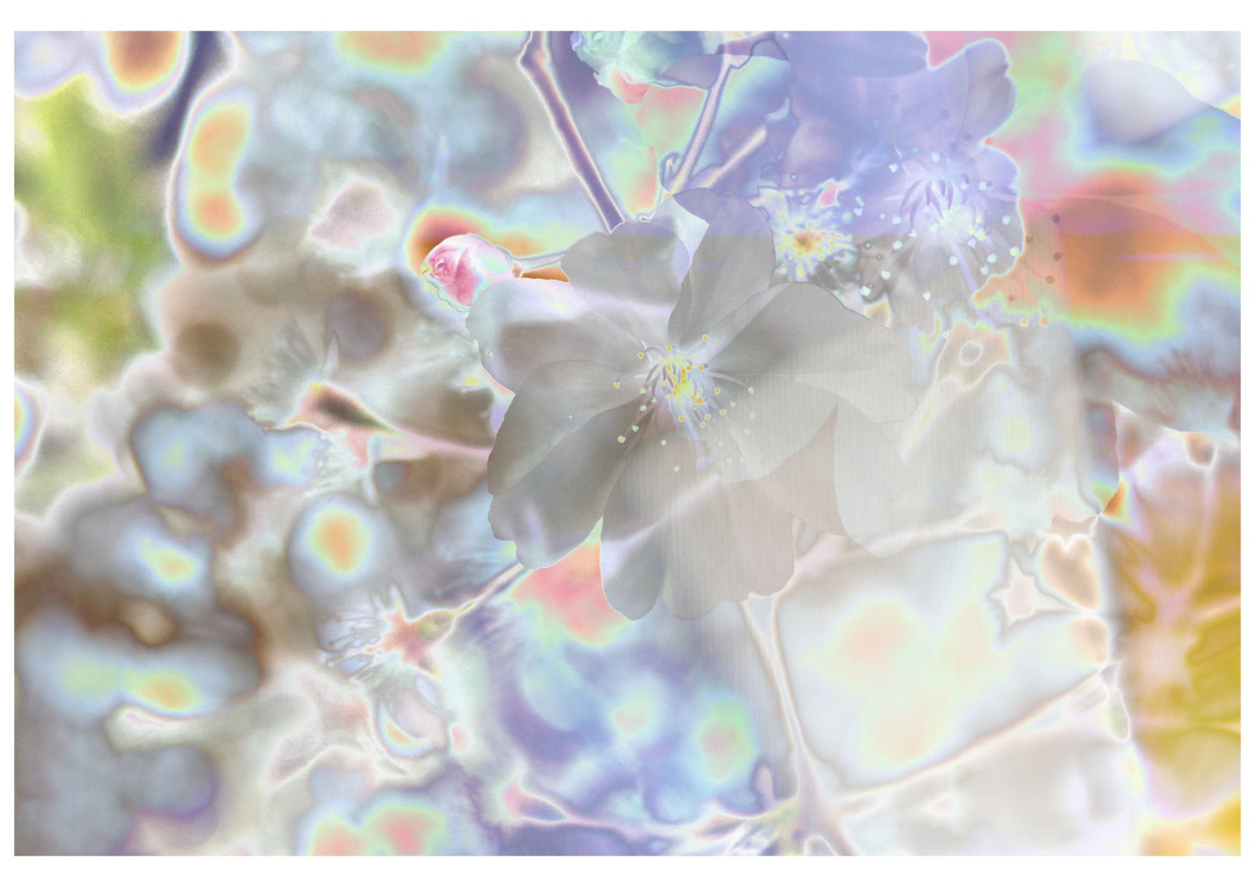 Oscillation | Exposition de photographie
