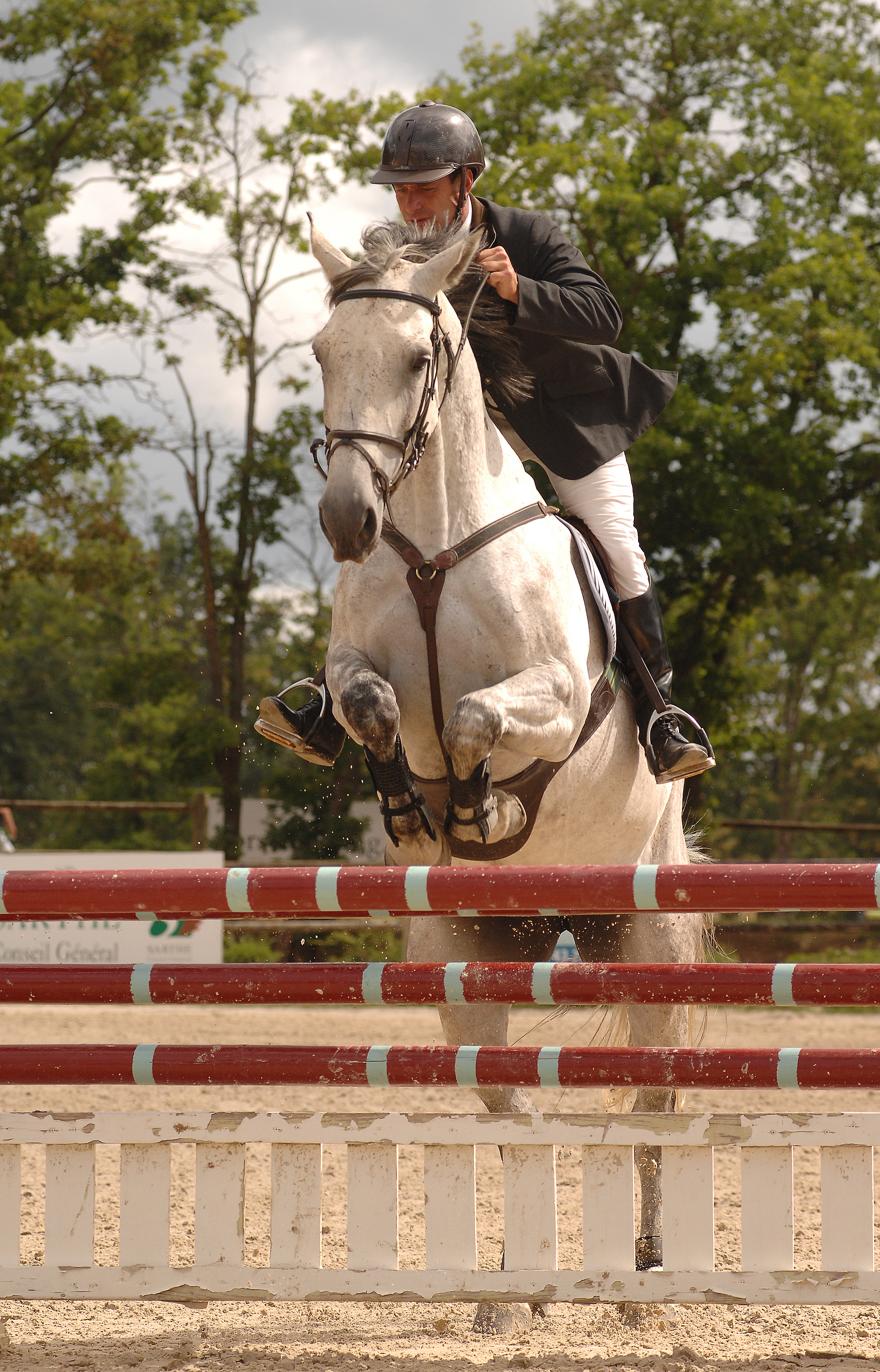 Pole-europeen-du-cheval-6