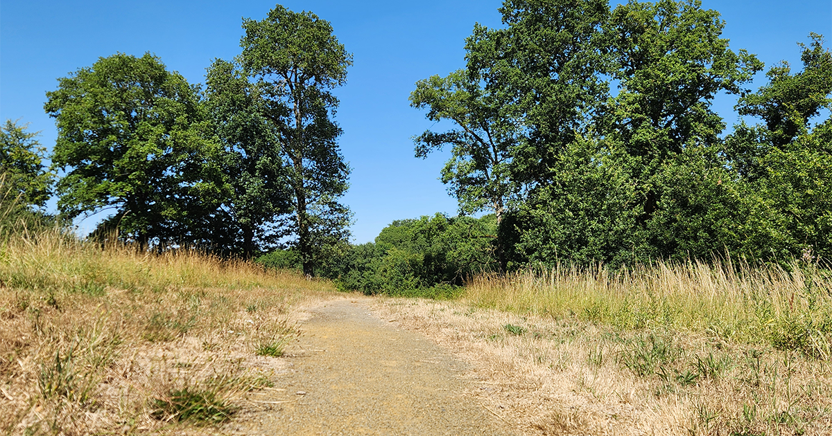 St Vincent des Landes - Sentier des bois