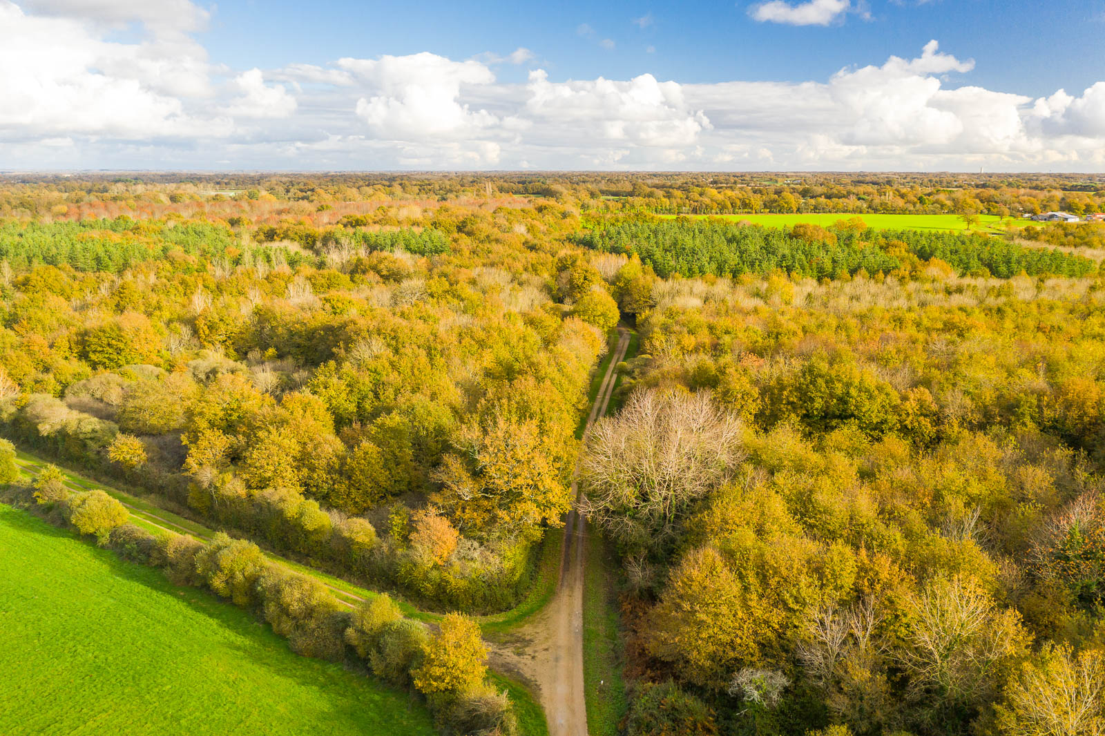 Forêt intercommunale de Sainte-Flaive-des-Loups