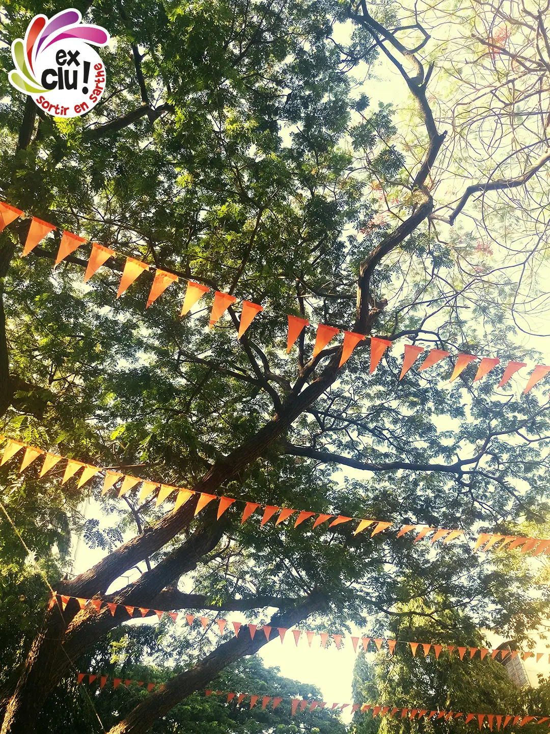 15eme Fête de la Nature