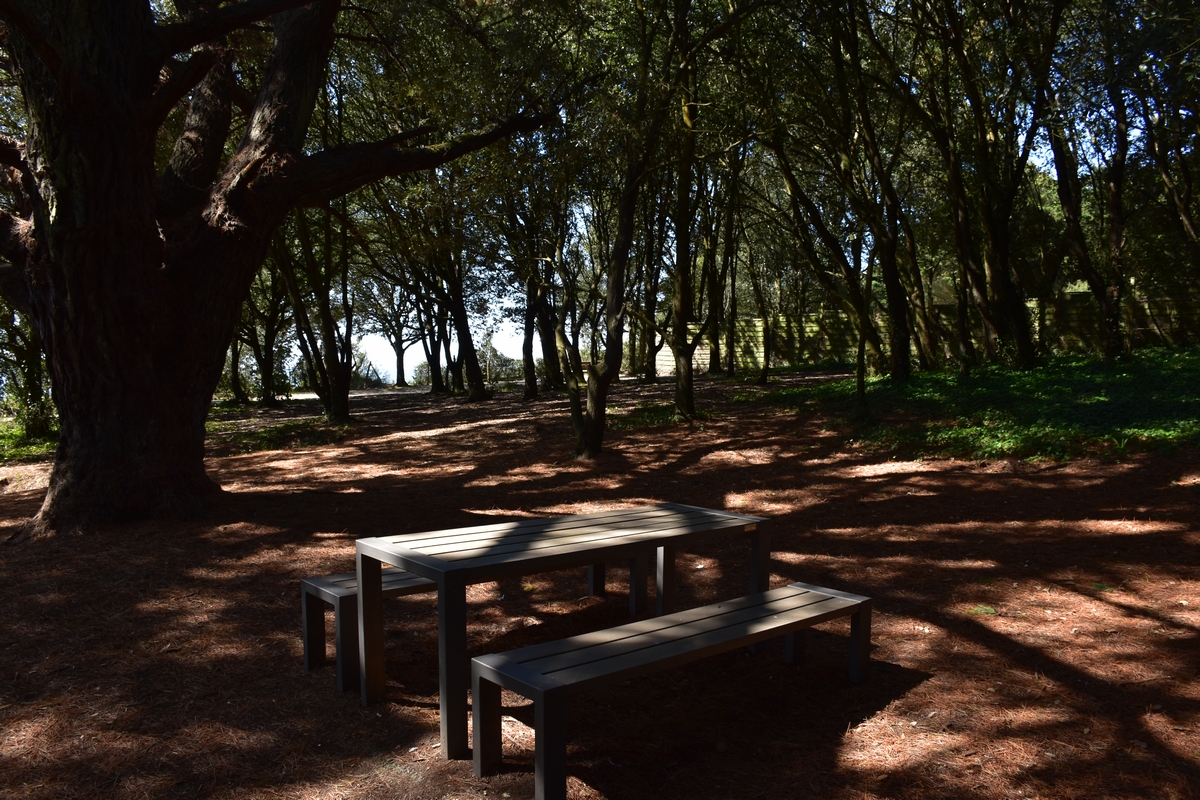 Aire de pique-nique de la plage de la Petite Vallée