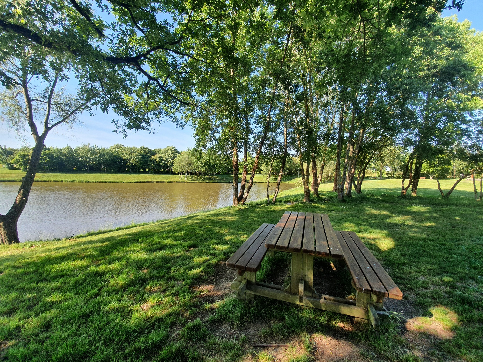 aire-de-pique-nique-du-beugnon-saint-cyr-des-gats-85410-1