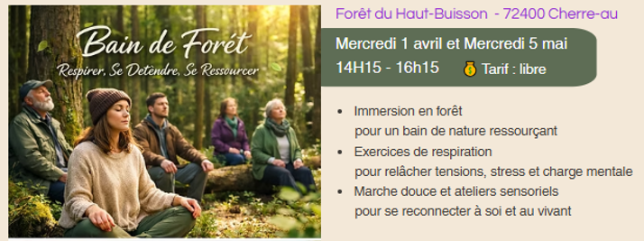 Bain de forêt Forêt du Haut Buisson