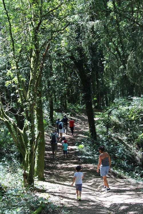 Les Herbiers : BALADE NATURE - LES HERBIERS