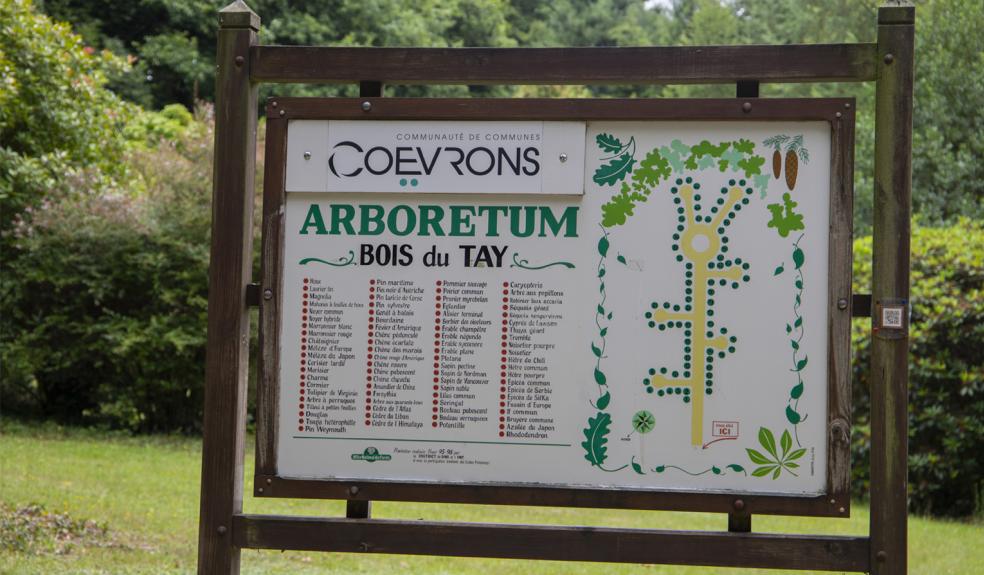 bois-du-tay-arboretum-hambers-01