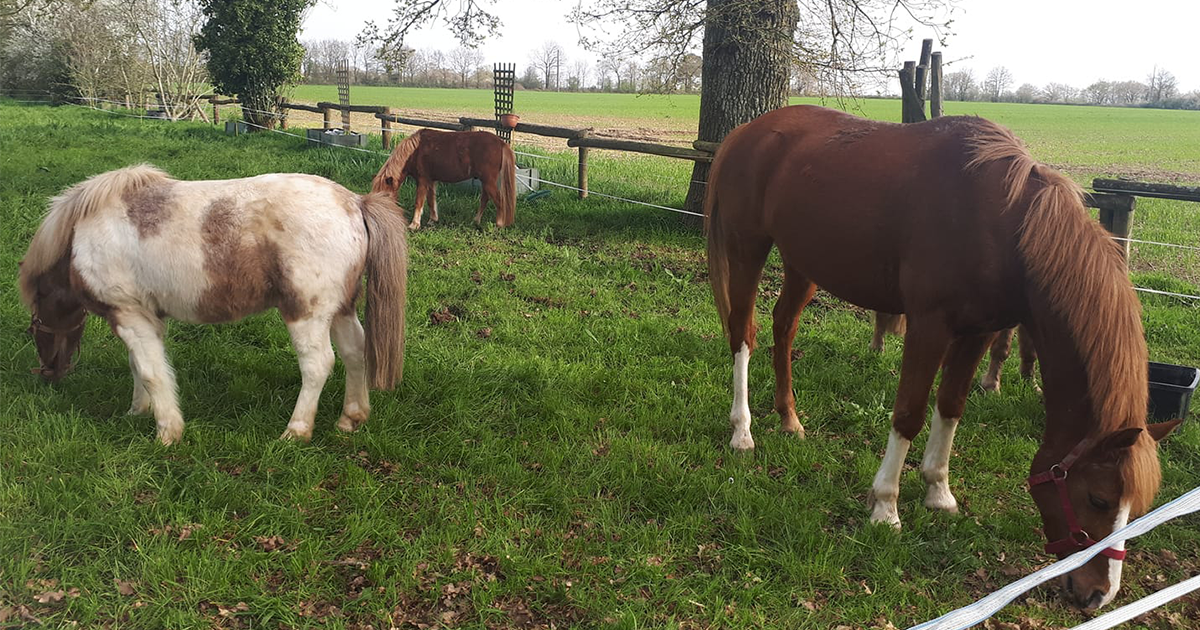 centre equestre equi val chapelle glain