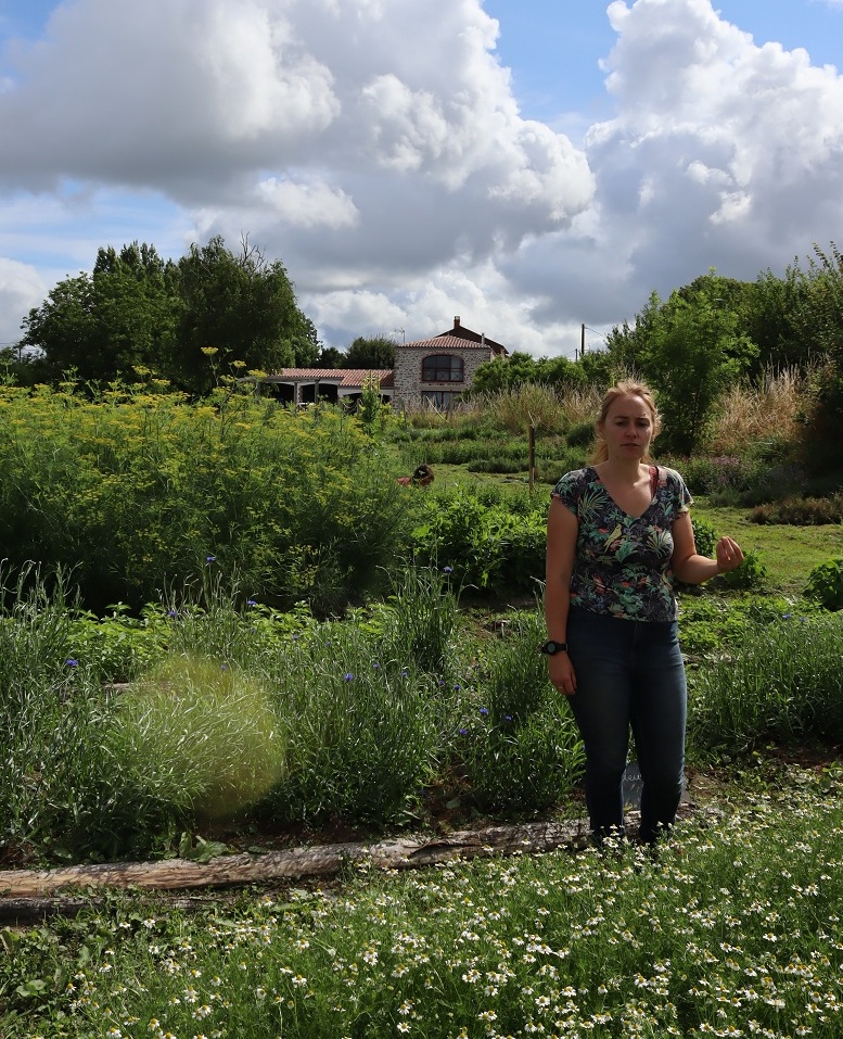 Les Herbiers : Visite d'un jardin de plantes aromatiques et médicinales - Les Herbiers