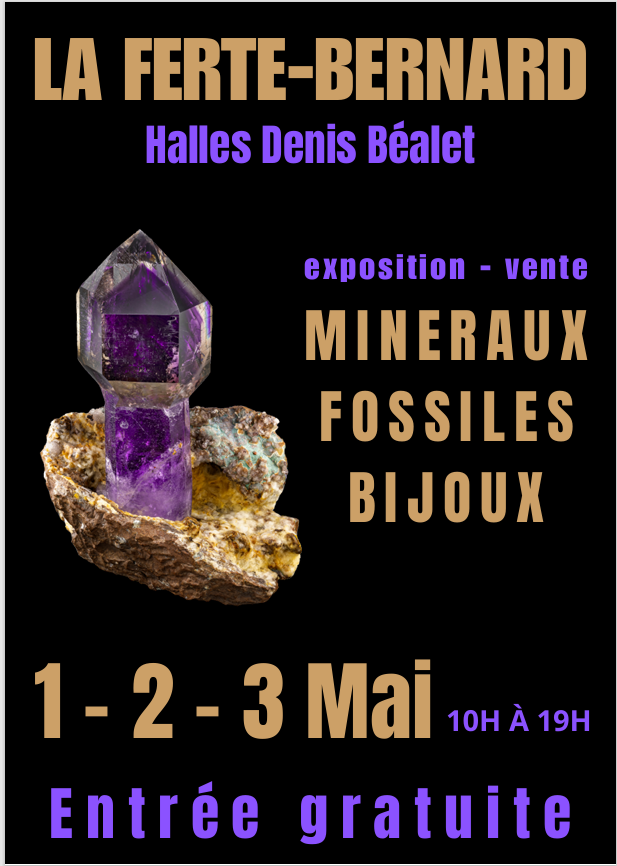 Exposition Vente Mineraux – Fossiles- Bijoux
