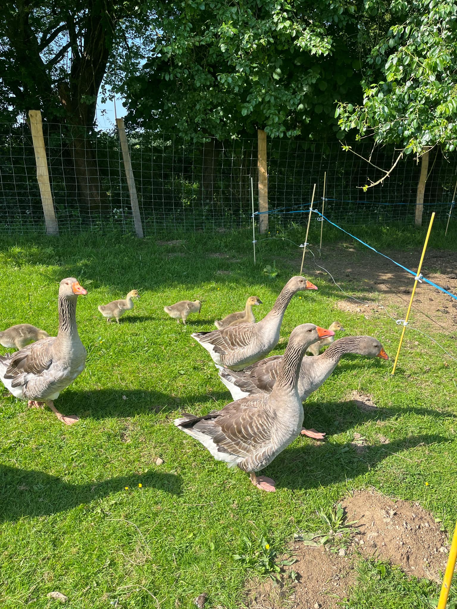 fa5e4f25-a87d-4260-a02a-c9b6f7051e3e